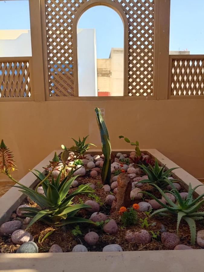 Dar Diafa Samira Apartman Mirleft Kültér fotó